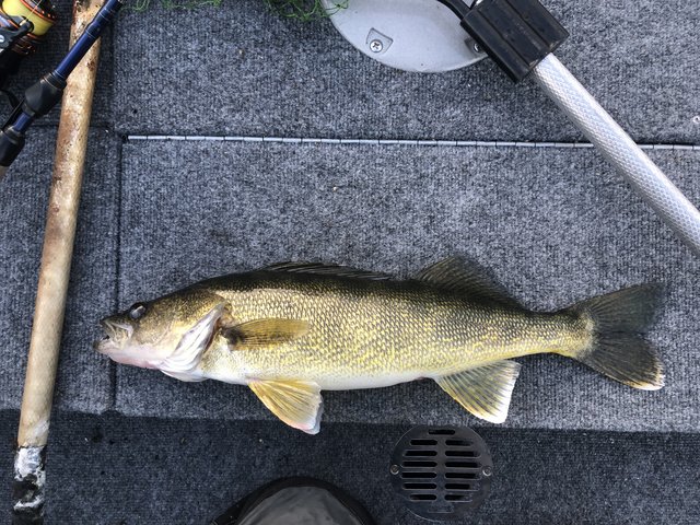 D903CAA6-C570-45EE-9FFC-86846ED28A1A