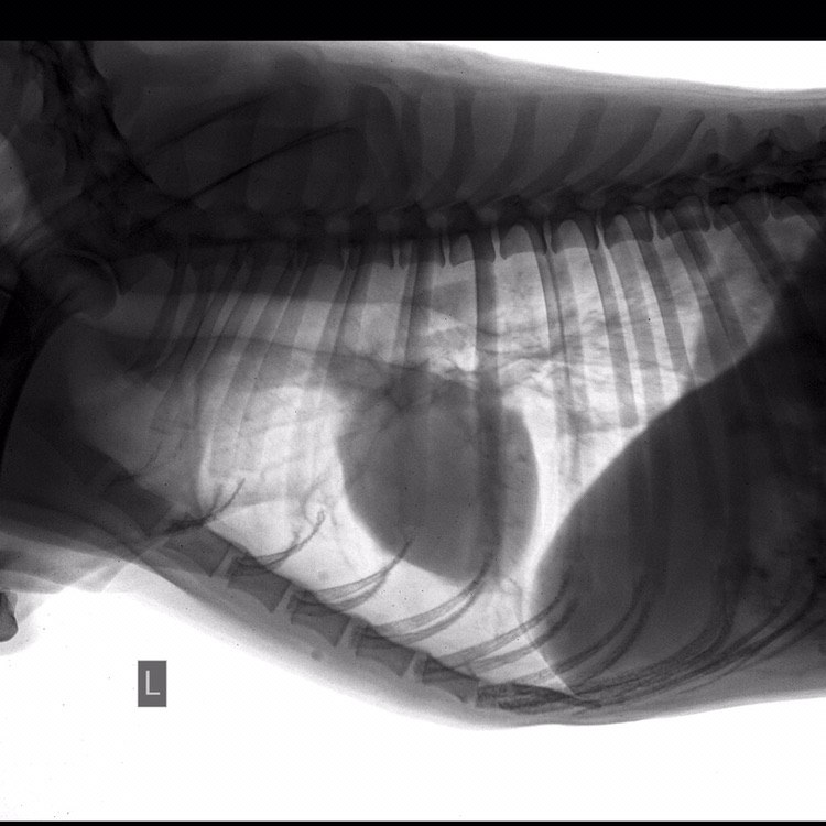 B3D4FECC-0919-441B-BC4F-3372B633F285