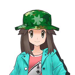 ch0017-10-leaf-256.png