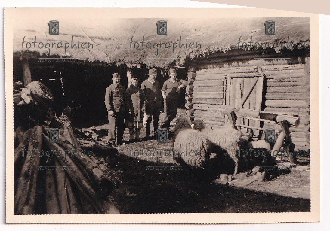org. Foto Russland Bevölkerung Frau Haus Hütte 1943