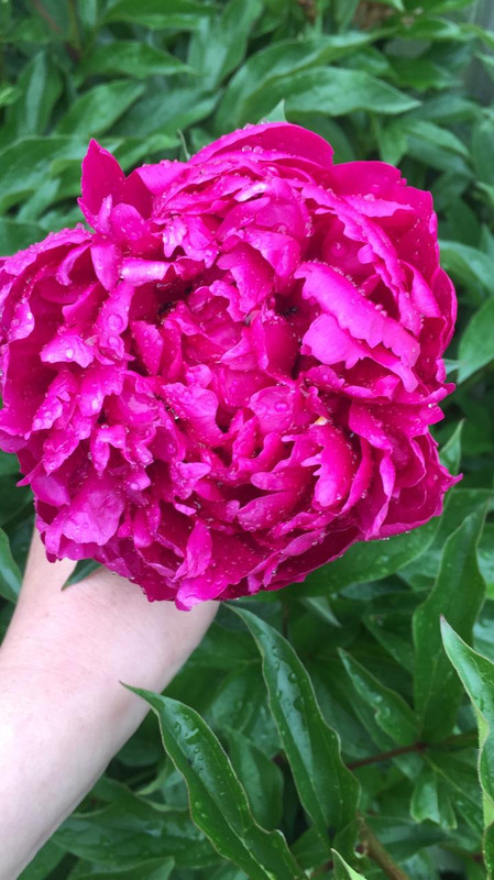 2B3E1D1D-9684-4FA1-B6A1-B519888754F5