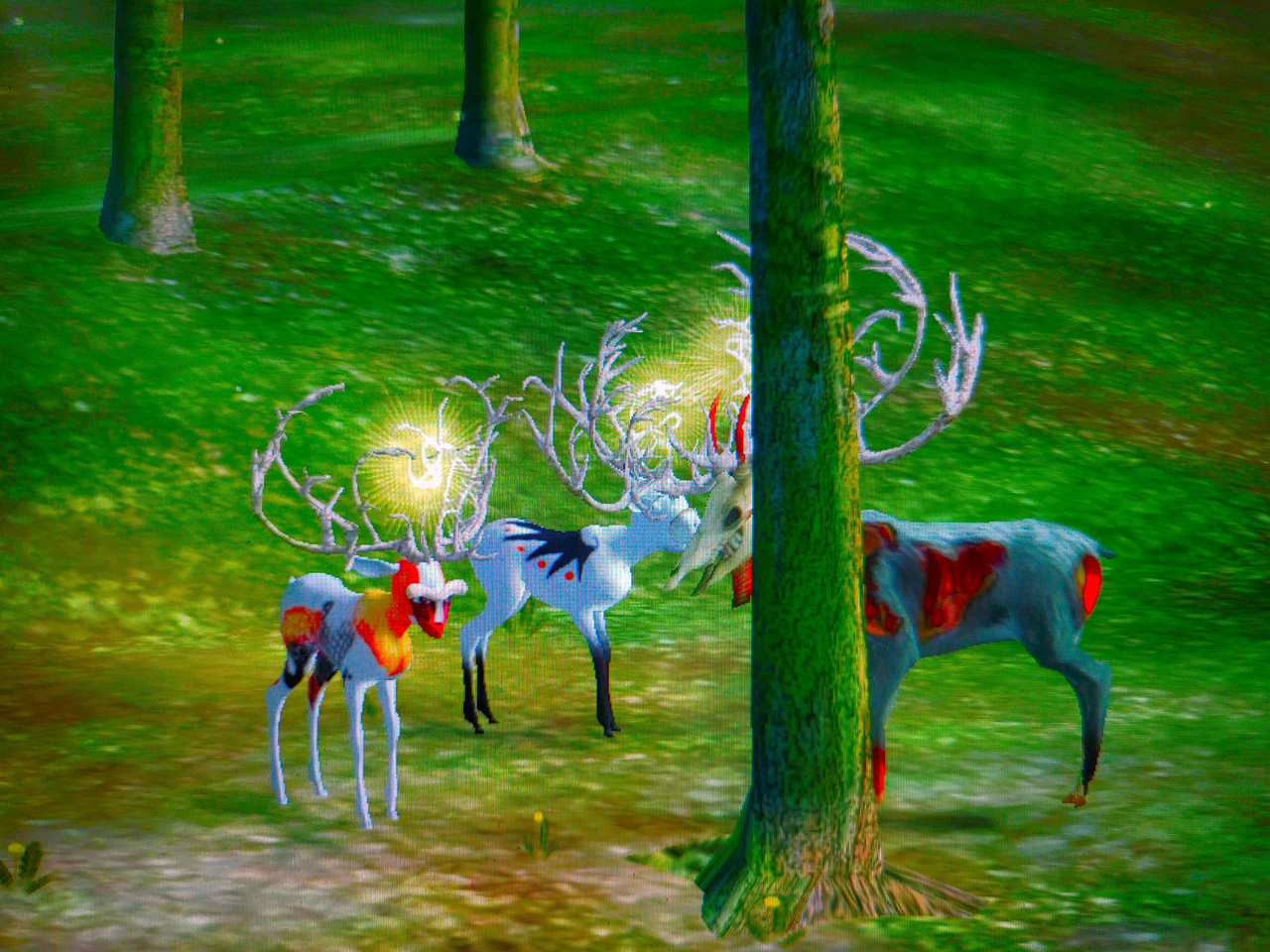 TEF Christmas 2025 4