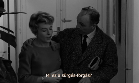 A bársonyos bőr (La peau douce) (1964) 1080p BluRay H264 AAC HUNSUB MKV - fekete-fehér, feliratos francia-portugál filmdráma, 117 perc Lpd2