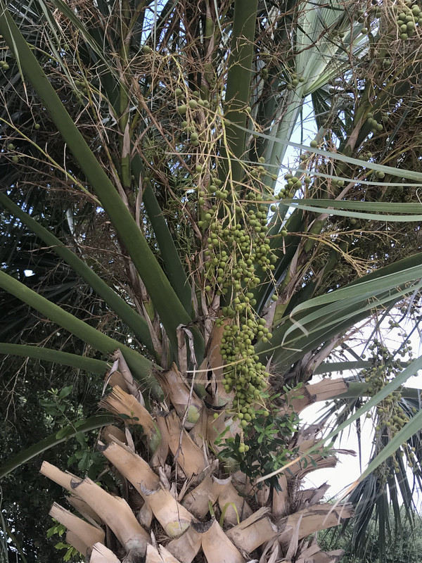 7137B095-602C-46E0-B94E-86134C76A18B