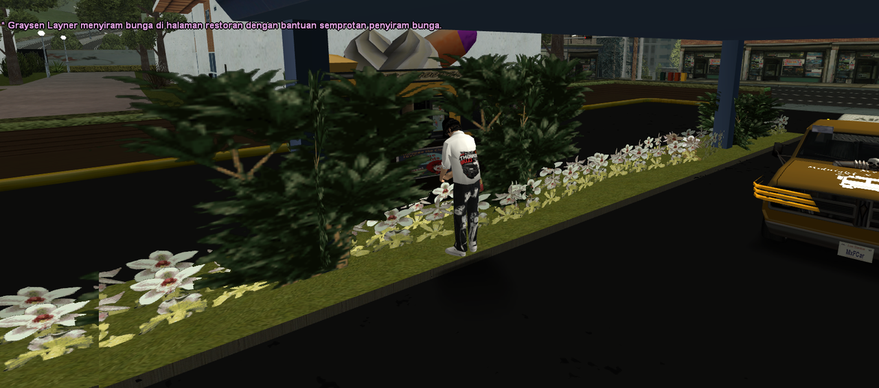 samp-04-09-2024-06-04-03.png