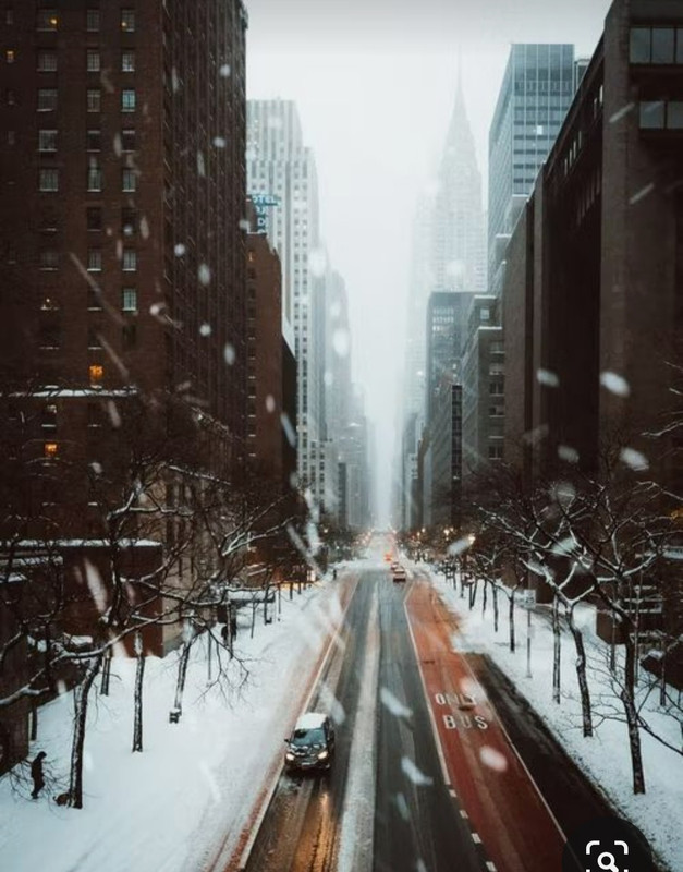 Screenshot_20231104_205600_Pinterest