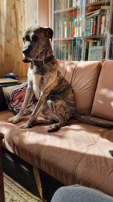 CBA40E3E-7B83-4E17-880A-8C0ACA84E709