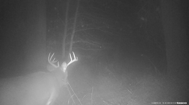 835F4381-9FDA-4F66-BFC8-E5BBD0CF7B11