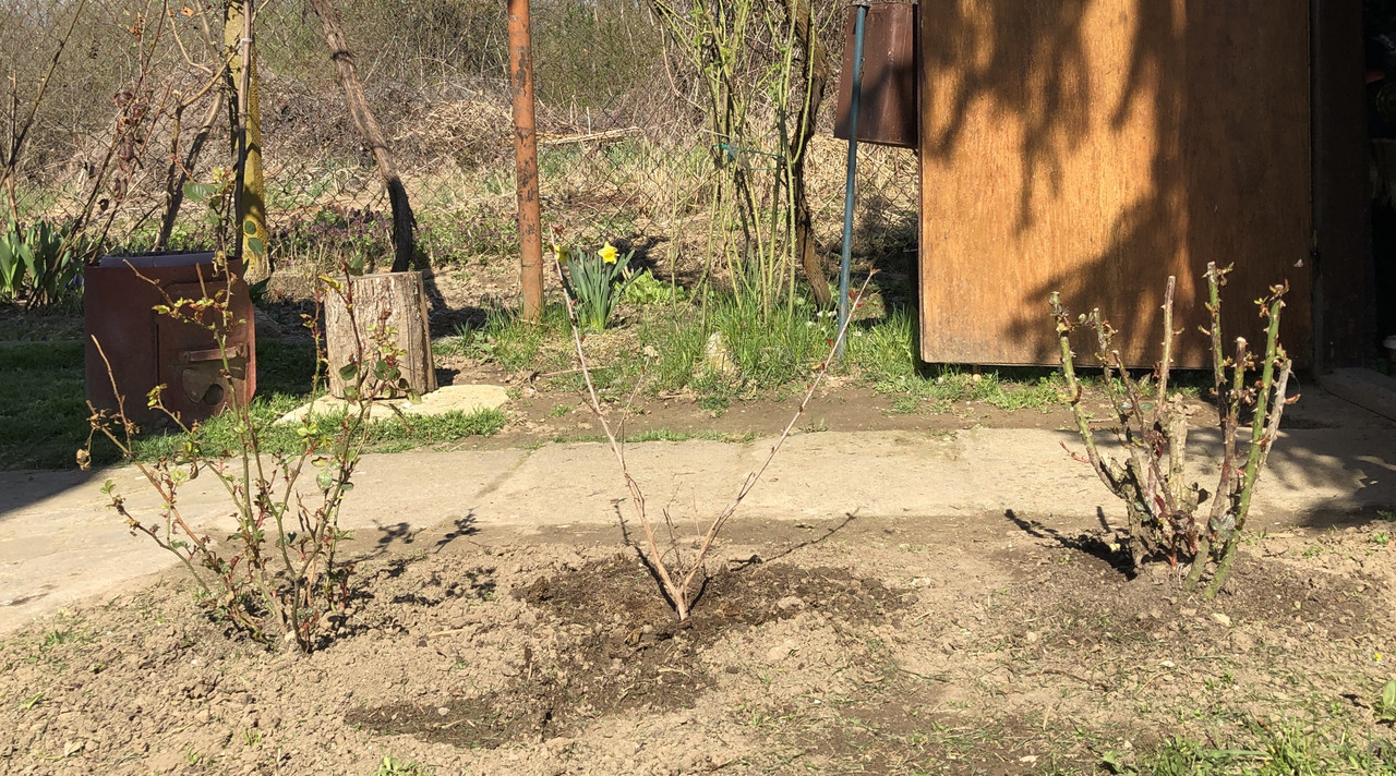 1CBFCCD1-C00C-4EF3-9D6D-E74669B27E2E