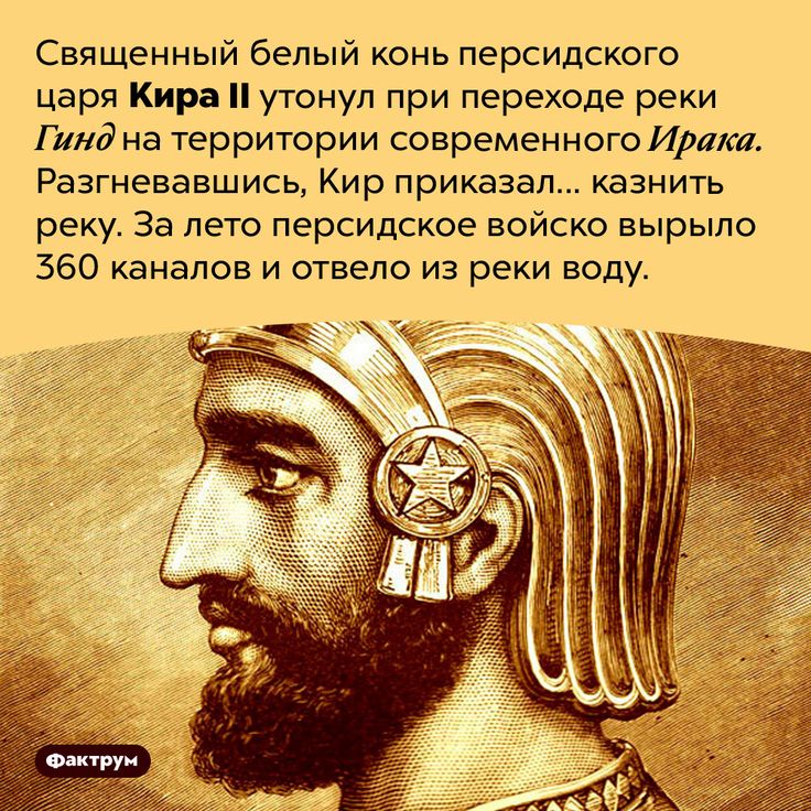 [Изображение: cb1b17f2bdcd3ef756a21ba52da7549e.jpg]
