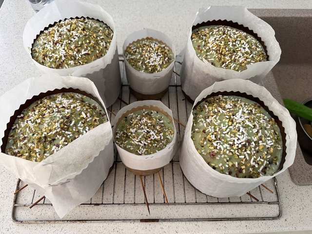 изображение_viber_2025-04-18_17-35-20-566