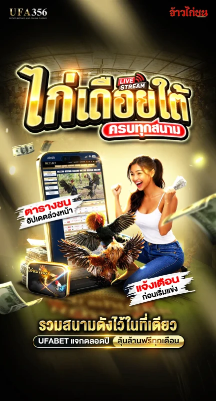 ดูถ่ายทอดสดไก่ชน