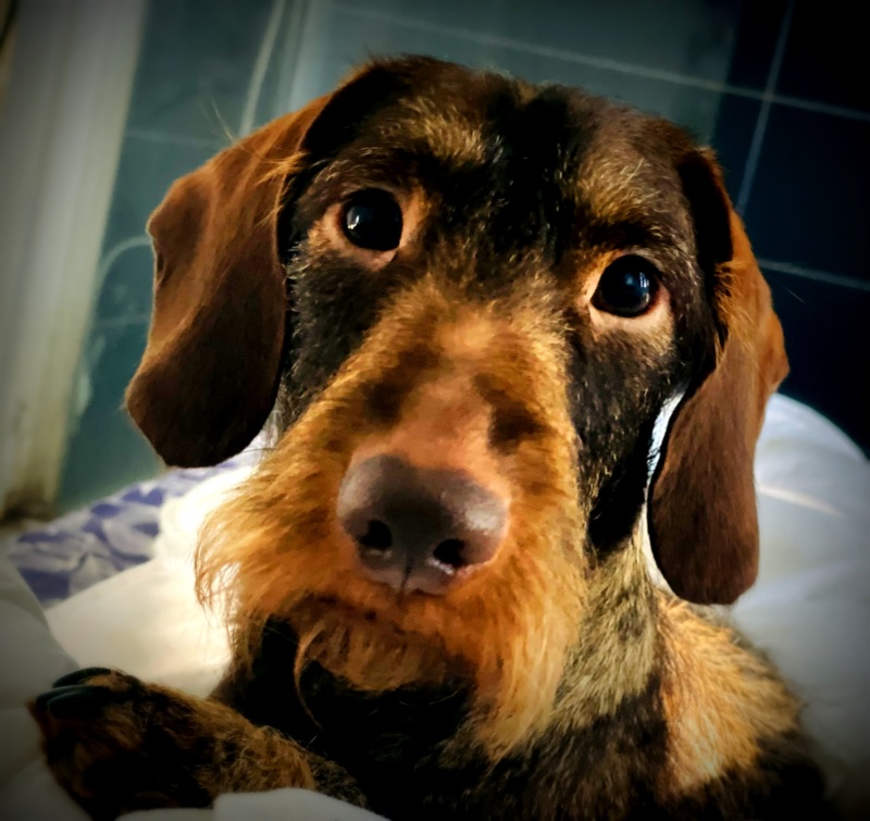 [Image: IMG-2976.jpg]