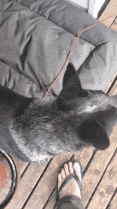 GIF-20260527-110054-725.gif