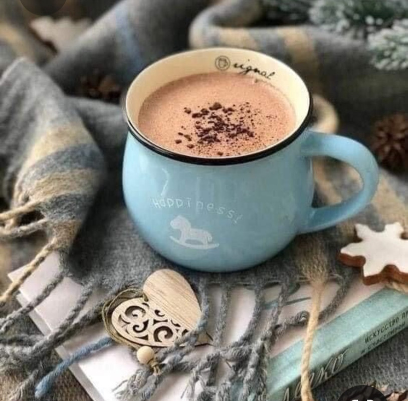 Screenshot_20230310_233727_Pinterest