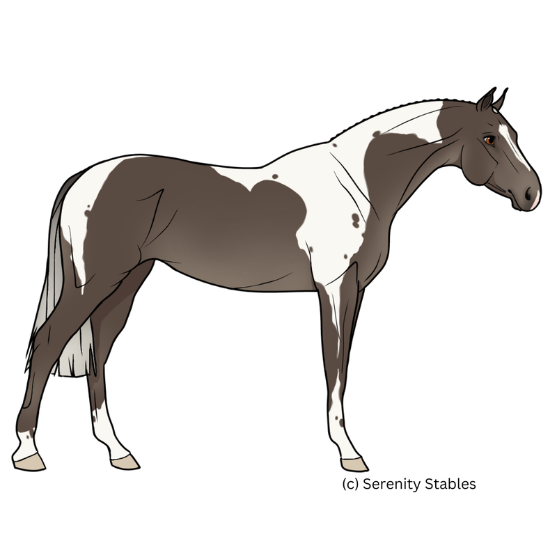 c-Serenity-Stables-6.png