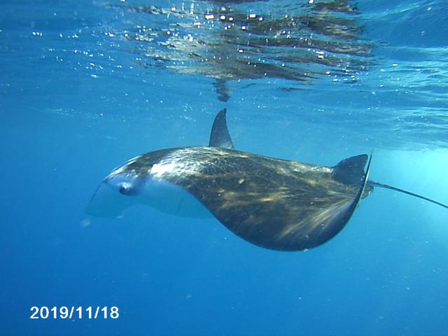 Feridhoo: la isla más bonita de Maldivas - Blogs de Maldivas - Feridhoo (42)