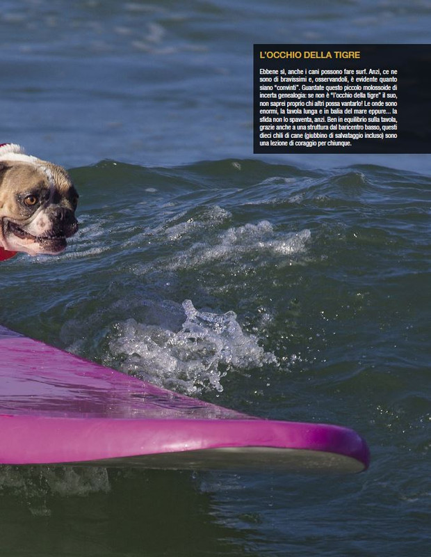 Argos Dic 2022-Gen 2023 (8)