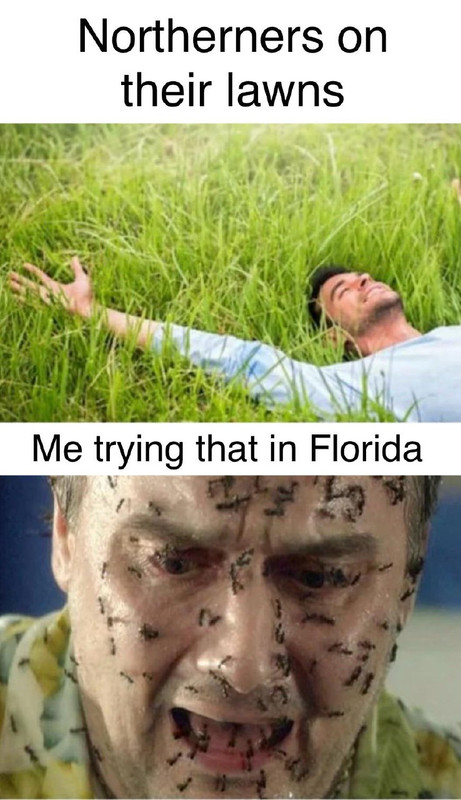 🖼️