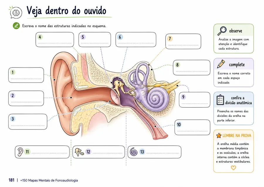 Exemplo de mapa mental de Fonoaudiologia do MapaFono