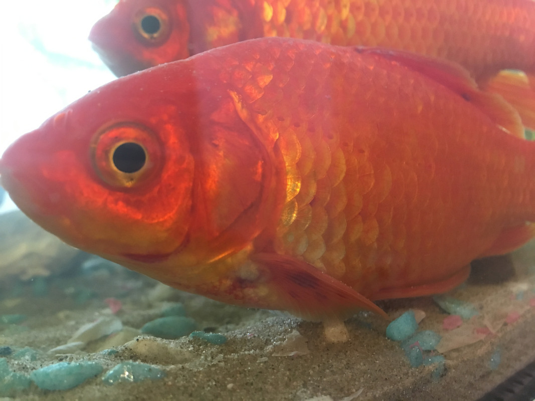 54C7CC11-7B06-46A7-A810-16D02C8EDE33