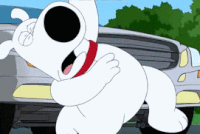 Family-Guy.gif