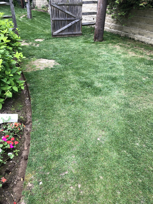 561052F2-63E1-4E96-A8B2-26835D47633A