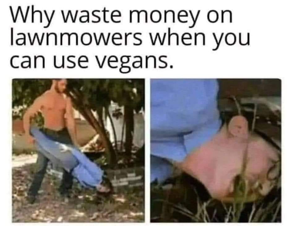 [Image: 324244131-852691356013911-5084696108787844048-n.jpg]
