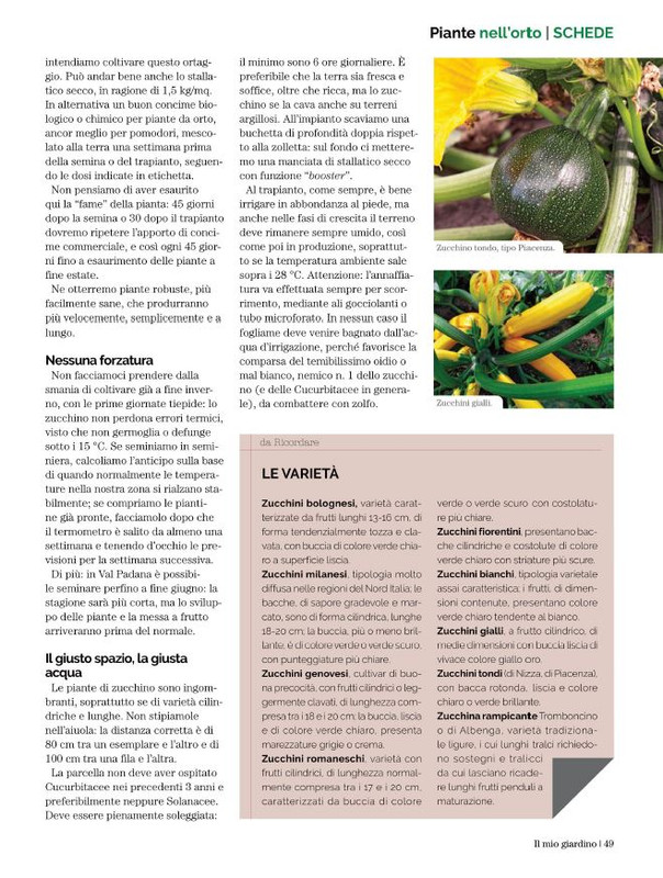 Il Mio Giar Ago-Set 2022 (8)