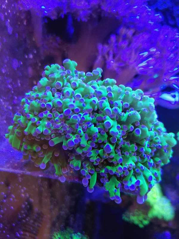 изображение_viber_2021-10-31_19-52-08-137