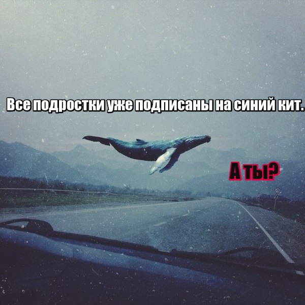AM9eF3CdZbY