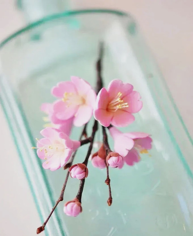 Molde cortador flor de cerezo silvestre trébol