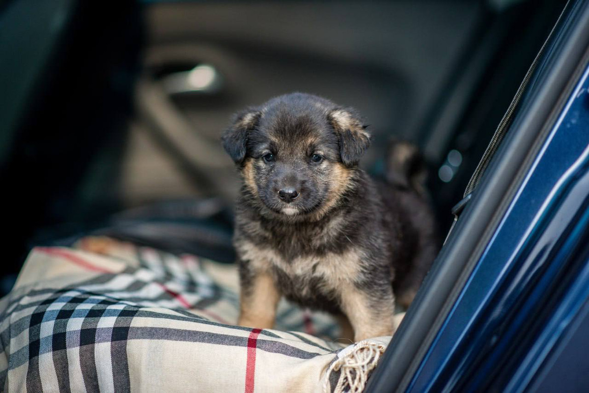 photo_2023-07-28_12-15-42