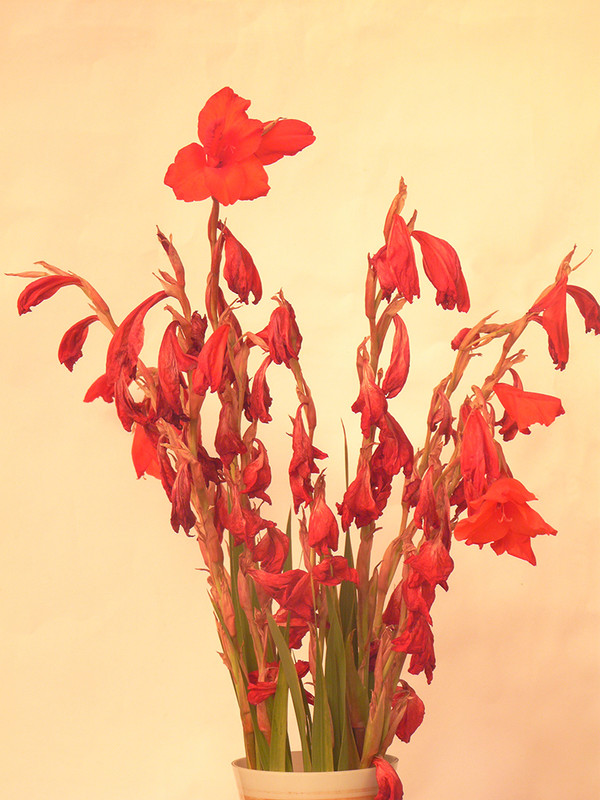 P1090409-1... (1024)