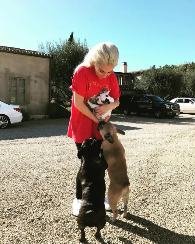 11-21-16-Instagram-006.webp