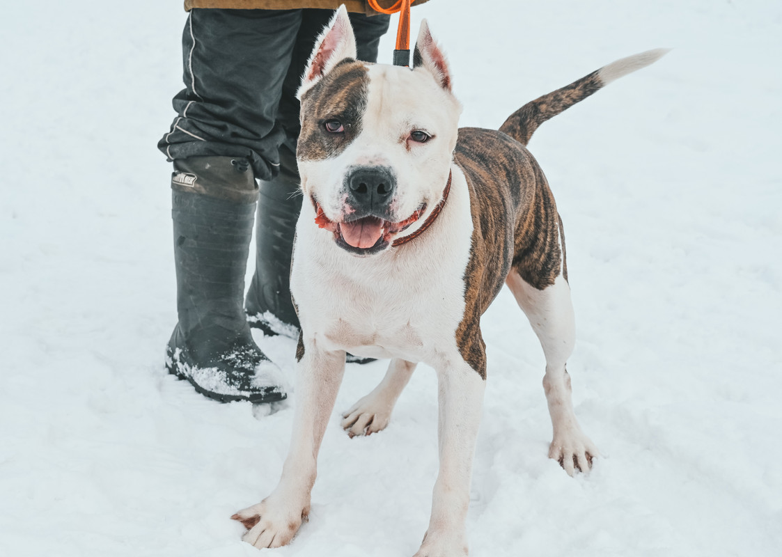 36689063-398F-4CCA-B93E-39A0387CAD73