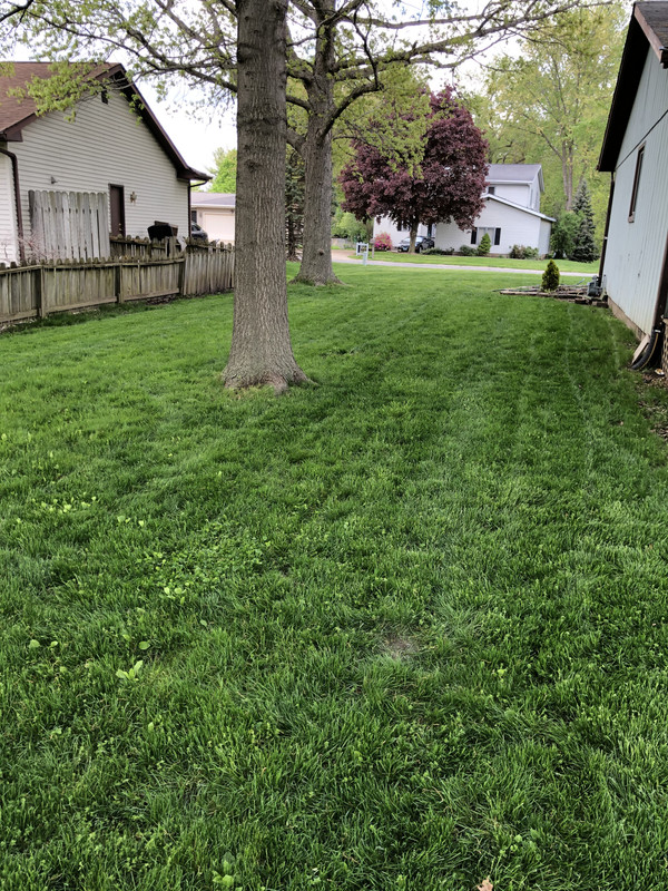 7F123CCF-DAFC-4E29-BEDC-293506373FDB