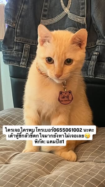 514365474-1890420901538395-1902641571838957511-n