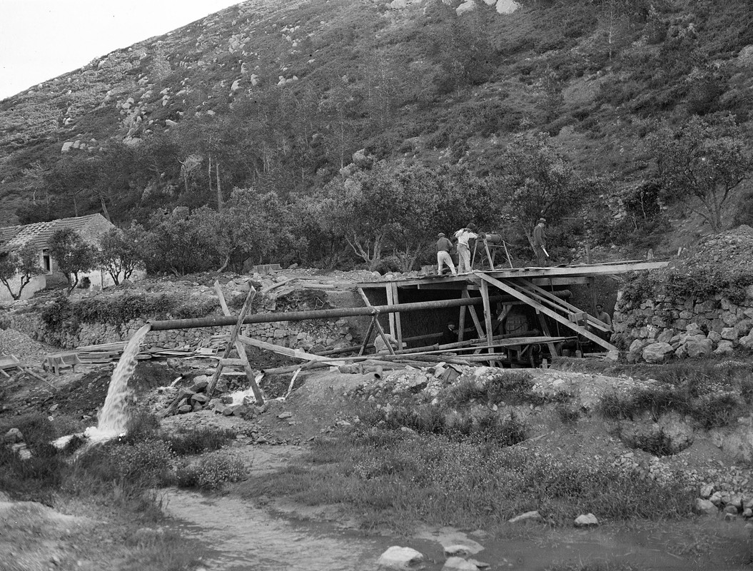 37030305382_c1f7ef0176_o (1)