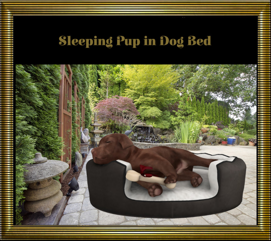 Sleeping-Pup-Product-Pic