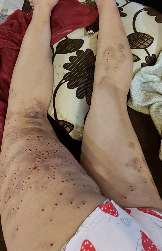 ۲۰۲۲۱۱۲۵_۱۱۳۶۱۵