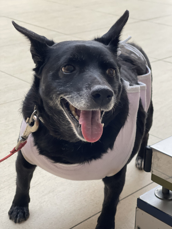 902F6268-FCE0-4EF0-A80D-5A2BD2E405D1