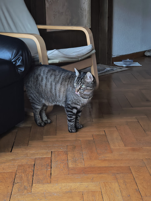 IMG 20260927 190308206 HDR