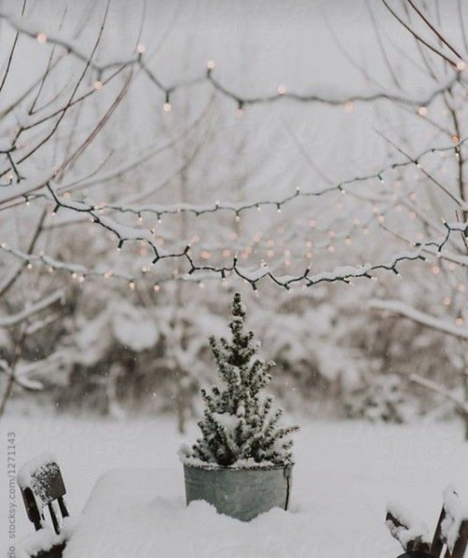 Screenshot_20231121_225341_Pinterest