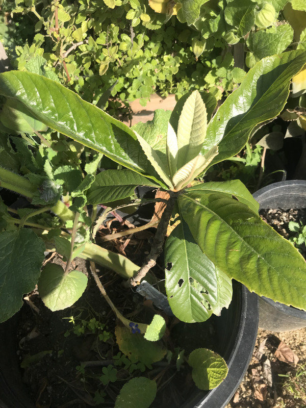 0F462389-0563-4F0E-BE29-9F480E18219C