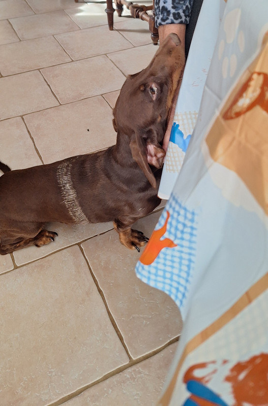 [Image: 20251002-150928.jpg]