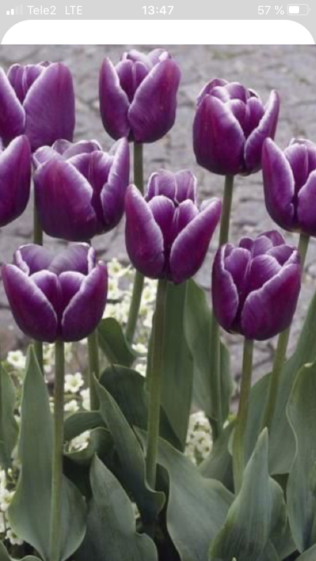 885CFCD7-E05E-4B69-9397-63C3F89C7A17