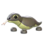 Komodo Dragon