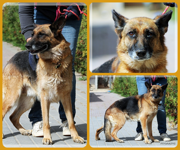 BeFunky-collage (19)