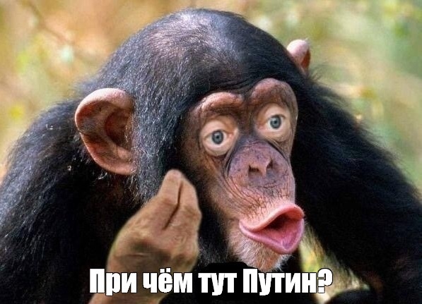 311673388_138027795675281_3921163507723308332_n